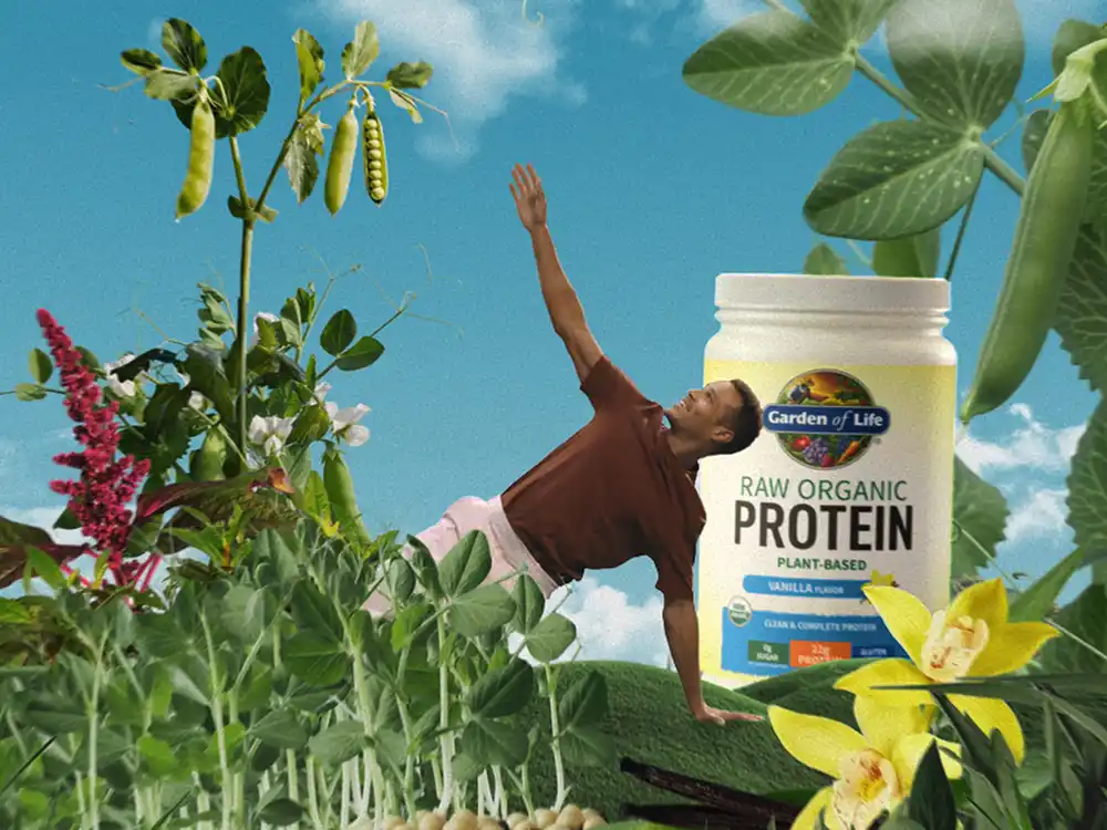 A man reaches toward pea vines beside a giant Raw Organic Protein tub, from Garden of Life's Formulas for Feeling Alive